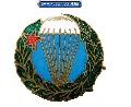 MN Ejternys jelvny (Parachuiste badge)